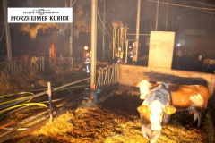 Brand 05 Serres