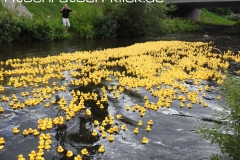 DSCN9978