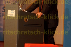 Frank Walter Steinmeier_06