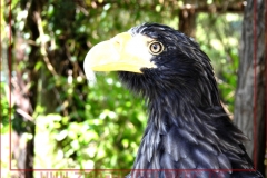 DSCN0859