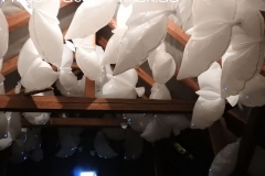 DSCN2405